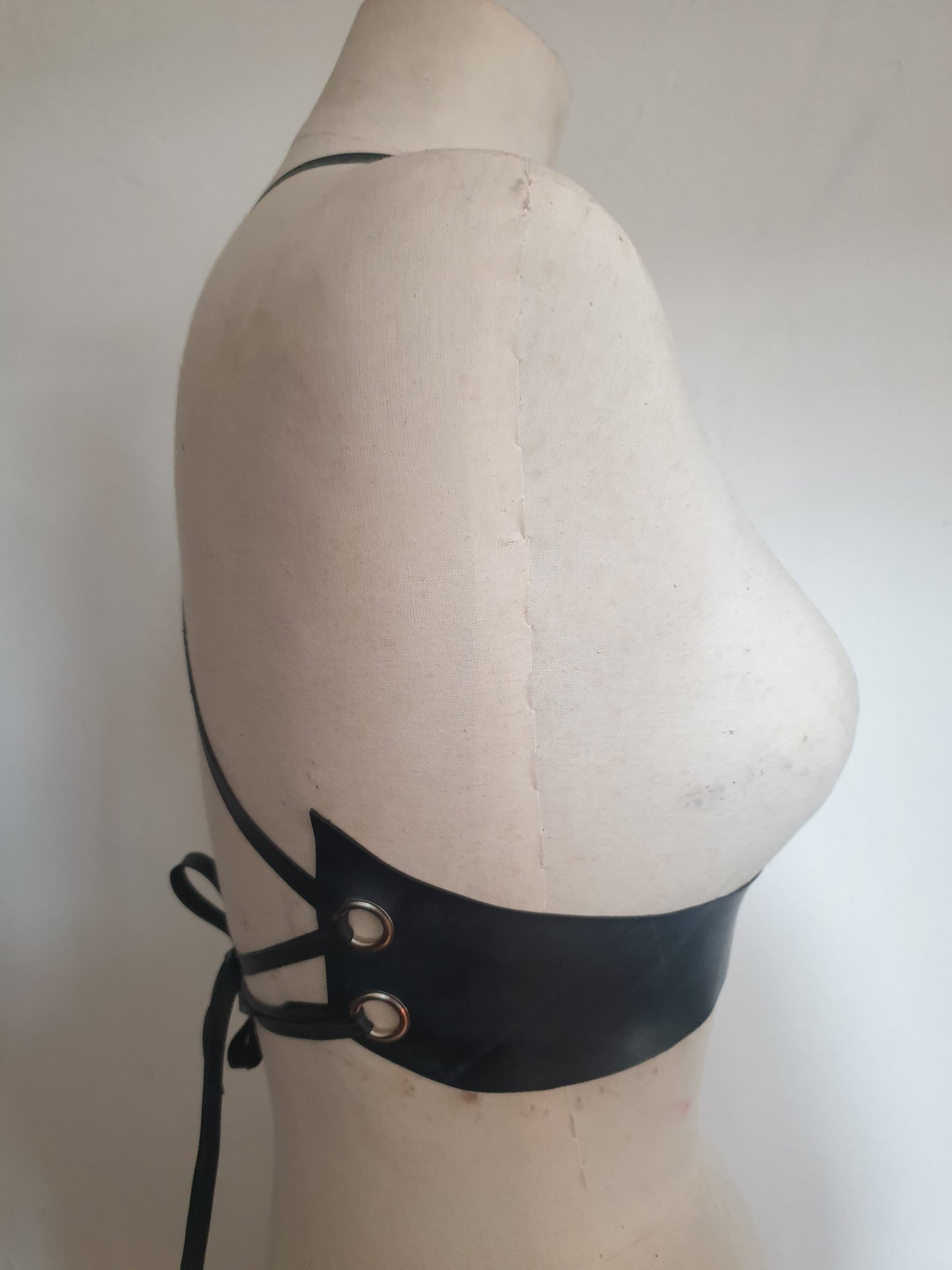 Halter Harness