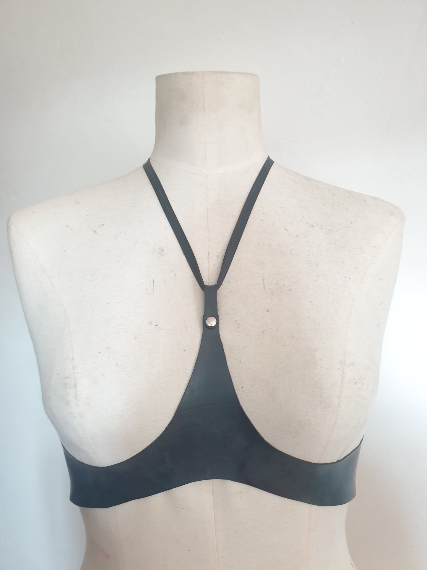 Halter Harness